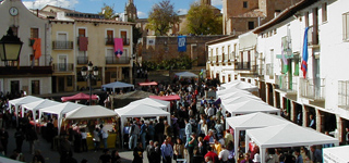 Fiestas en Cifuentes.