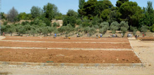 Imagen de los huertos ecosociales del Ayuntamiento de Azuqueca. Fotografía: Álvaro Díaz Villamil/ Ayuntamiento de Azuqueca de Henares