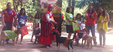 Un total de 110 participantes se dan cita en el IV Concurso Canino sin Raza