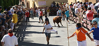 Encierro en Cifuentes. (Foto: cifuentesnet.com)