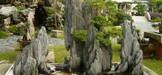 Bonsai. (Foto: http://bonsais.florpedia.com/)