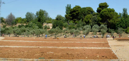 Imagen de archivo de los huertos ecosociales de Azuqueca. Fotografía: Álvaro Díaz Villamil/ Ayuntamiento de Azuqueca de Henares