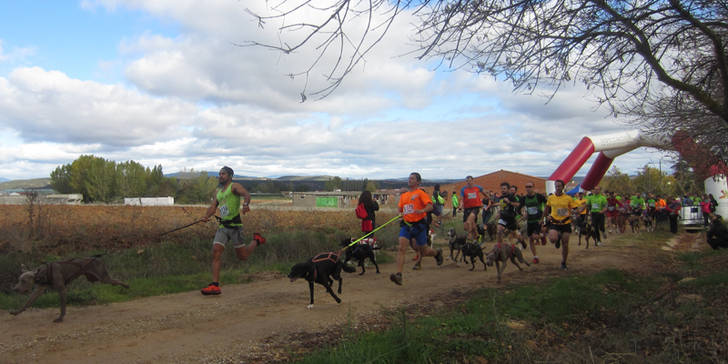 Canicross celebrado en Humanes. (Foto: Diputación provincial)