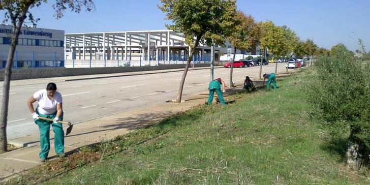 Cuatro trabajadoras apoyan la labor de la Brigada Municipal en otoño en Quer