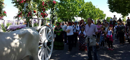 Alovera celebra el VI Día del Caballo estrenando Romería por la Virgen de la Paz