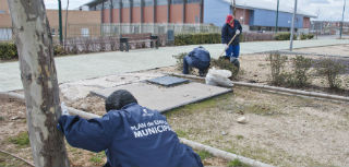 El Ayuntamiento de Marchamalo contrata a otros 13 desempleados en su Plan Social de Empleo, sumando ya 27 contrataciones