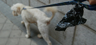 Se establecen lugares para las deyecciones de los animales: las alcantarillas y el bordillo que delimita con la calzada. 