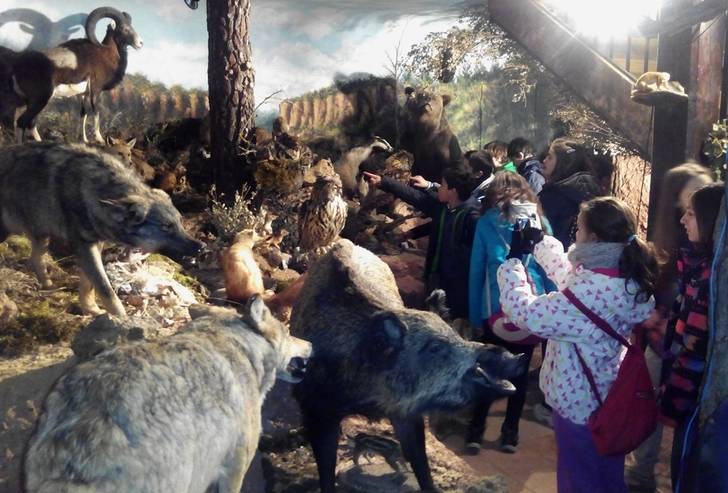 El Geoparque recibió la visita de 63 alumnos del Colegio Teresiano del Pilar de Zaragoza