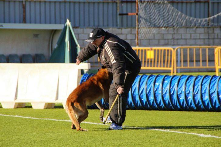 Alovera ha celebrado un campeonato de obediencia canina