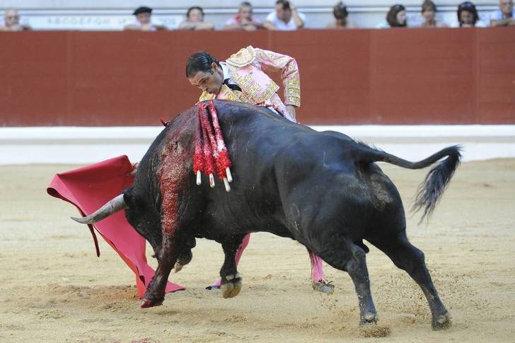 Sánchez Vara se enfrentará en solitario a seis toros de Palha, el 18 de abril en Guadalajara