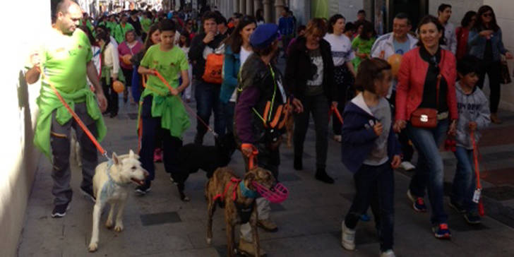 Un total de 70 perros se dan cita en el primer paseo canino para promover el uso de las bolsas de recogida