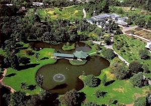 Los tesoros de Mutis llegan al Jardín Botánico