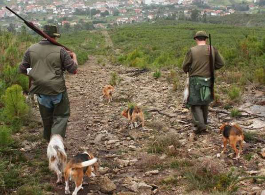 El Consejo Regional de Caza aprueba por unanimidad la orden de vedas para la temporada de caza 2015/2016