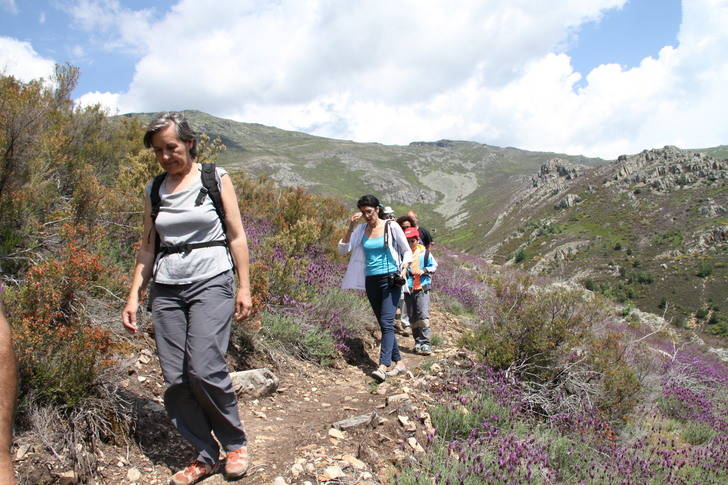 Valverde de los Arroyos y Campillo de Ranas estrenan itinerarios apiturísticos