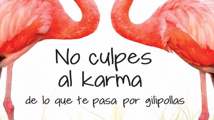 No culpes al karma "de lo que te pasa por gilipollas"