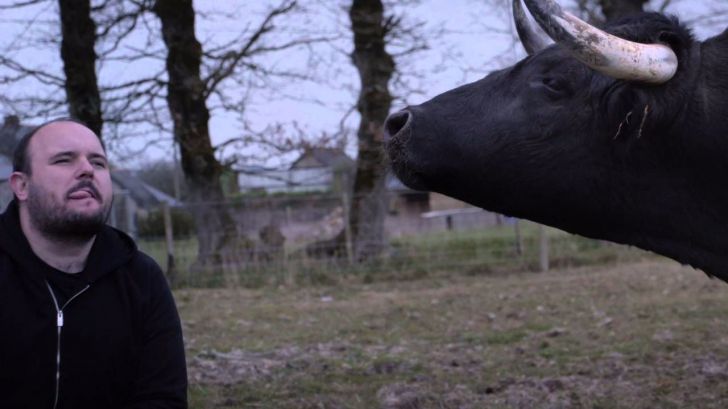 Otras tauromaquias de Capital Animal