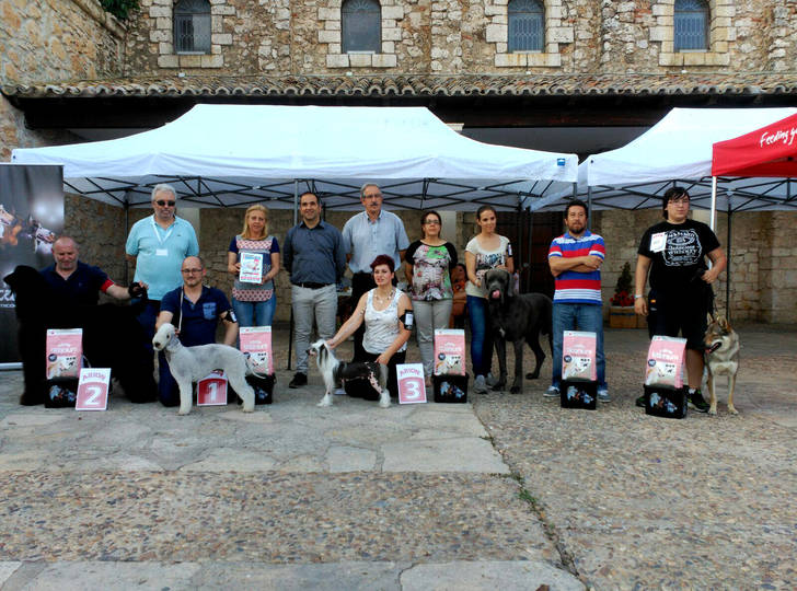 Celebrado el I Concurso Nacional Canino de Fuentenovilla 