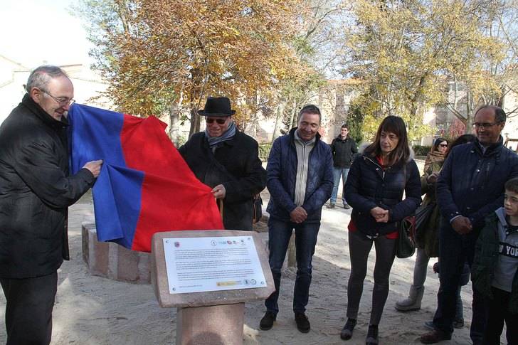 Un olmo y mil historias, en La Alameda de Sigüenza 