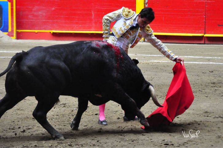 El torero afincado en Fuentelencina Juan de Castilla toma la alternativa en Medellín