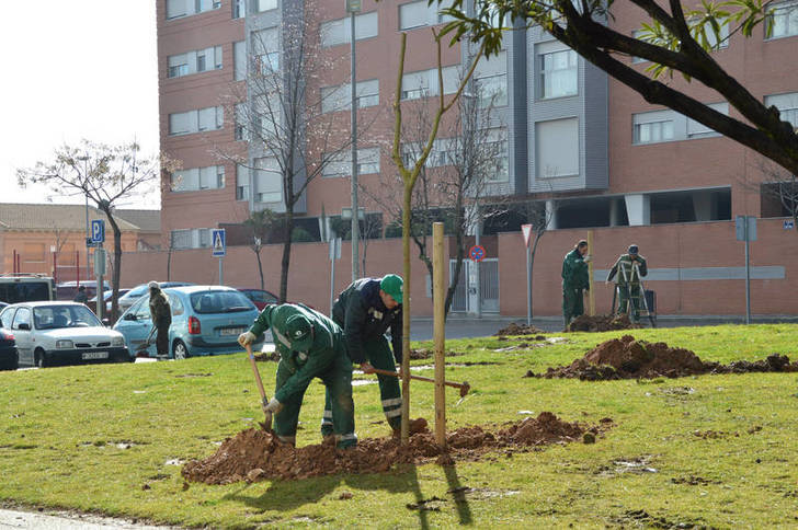 Azuqueca plantará un árbol por cada recién nacido que se empadrone en el municipio