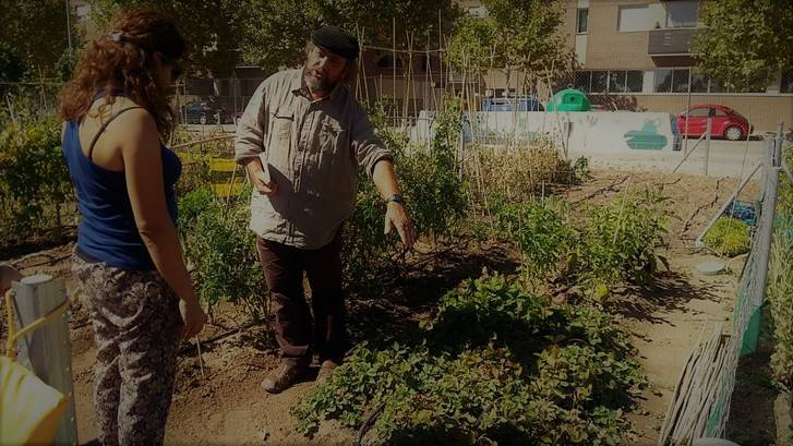 Una jornada técnica sobre sistemas de cultivo da inicio a la temporada de huertos urbanos en Valdeluz