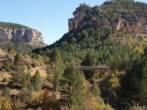 La Junta programa m&#225;s de una docena de actividades en agosto para promocionar los parques naturales de la provincia