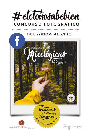 Participa en el concurso fotográfico #ElOtoñoSabeBien y gana un menú micológico degustación para dos personas