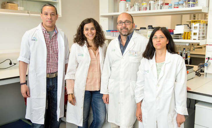 Gran descubrimiento científico en Castilla-La Mancha para luchar contra la esclerosis múltiple