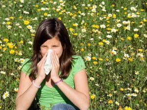 Los alergólogos pronostican una primavera atípica en Castilla-La Mancha con niveles elevados de gramíneas y menos polinización del olivo