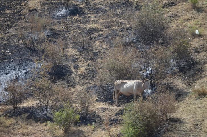 APAG visita a los ganaderos de Valdepeñas para trasladarles su apoyo y valorar los daños del incendio