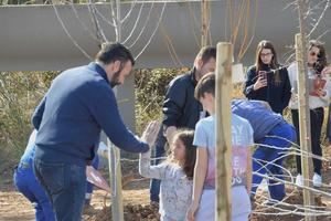 Plantados 150 árboles en el nuevo parque Arroyo del Vallejo de Azuqueca