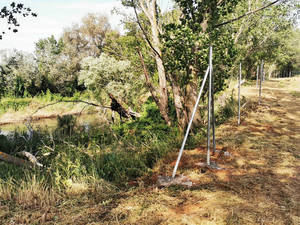 El Ayuntamiento de Azuqueca logra que los tres caminos al río Henares sigan siendo accesibles para toda la ciudadanía