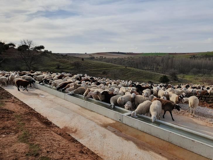 La Diputación de Guadalajara subvenciona a 23 ayuntamientos la inversión en nuevas infraestructuras agrarias de uso común