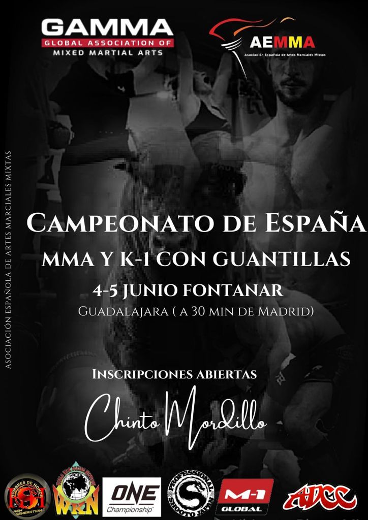 Campeonato de España MMA y K-1 con guantillas 