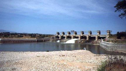 Ecologistas en Acción exige paralizar la “deforestación” del bosque de ribera aguas abajo de la presa de Cazalegas