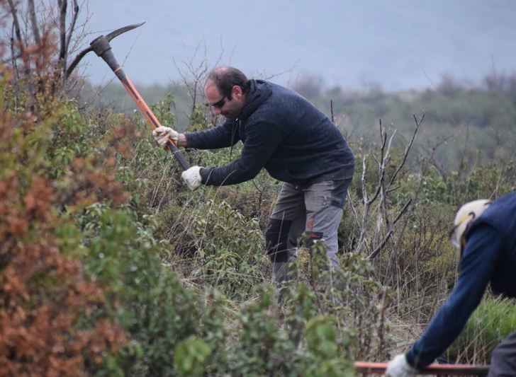 Da comienzo un proyecto piloto para la restauración del incendio de 2012 en Checa y Chequilla