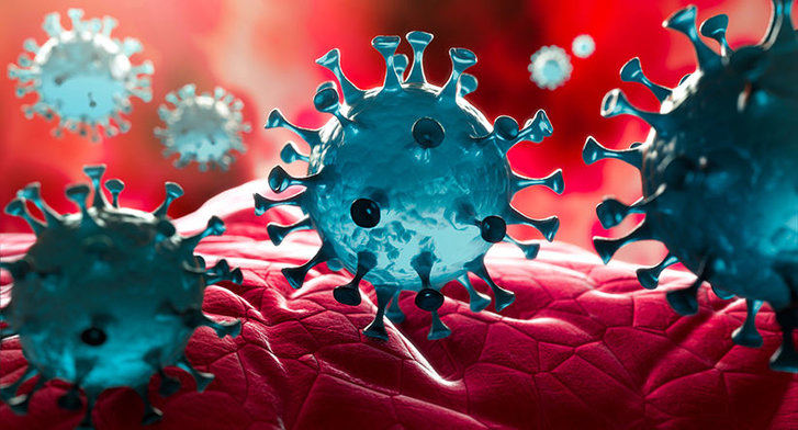Hallan anticuerpos 'humanos' capaces de bloquear el coronavirus