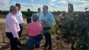 VOX CLM exige garantizar precios justos para acabar con las pérdidas de los agricultores vitivinícolas 