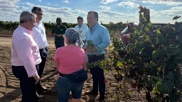 VOX CLM exige garantizar precios justos para acabar con las pérdidas de los agricultores vitivinícolas 