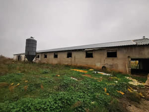 Aprobado el derribo de las instalaciones agr&#237;colas del parque del Vallejo de Azuqueca