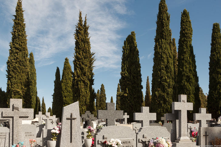 El Ayuntamiento de Guadalajara hace una obra de urgencia en el cementerio para hacer más tumbas por el coronavirus