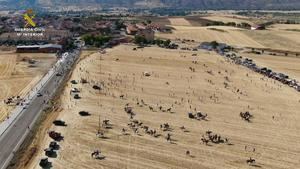 La Guardia Civil investiga a una persona y detecta diversas infracciones en el dispositivo de seguridad establecido con motivo del encierro por el campo de Uceda