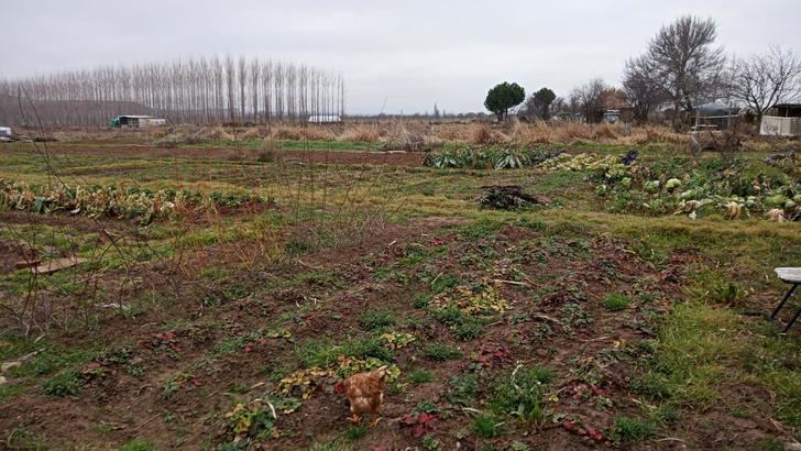 Ecologistas en Accción de Guadalajara presenta propuestas para regular los huertos de Fontanar 