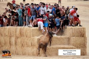 &#34;Hacedme hueco arriba&#34;, Primer Premio del 15&#186; Concurso de Fotograf&#237;a Taurina de ToroAlcarria