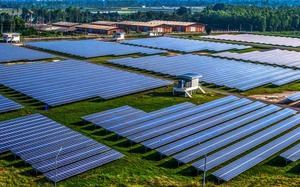 La CNMC pide a Consistorio de El Olivar dejar de prohibir la instalar molinos de viento y huertos solares