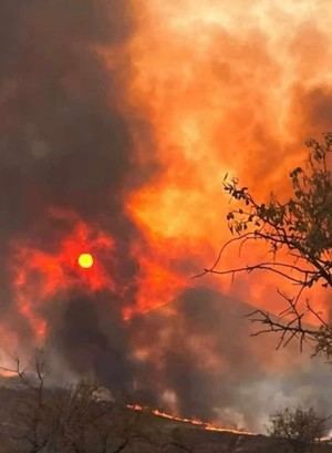 La alcaldesa de La Estrella: &#34;El incendio ha calcinado el coraz&#243;n de la Jara&#34;