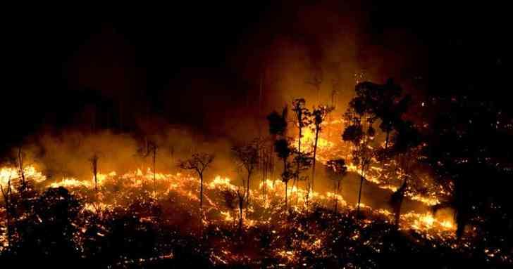 Se cumple un año desde el gran fuego que asoló la Amazonía