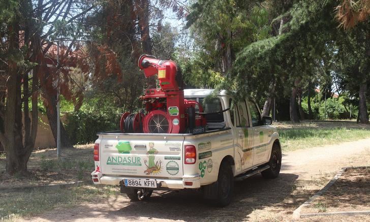 El lunes 26 de agosto, nuevo tratamiento antimosquitos en Cabanillas