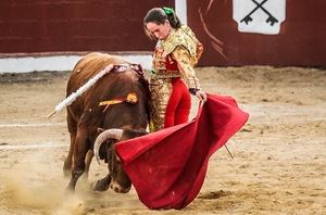 XI Jornadas Taurinas &#161;Romancos al Campo! 2023