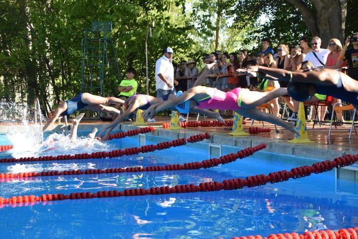 El Campeonato Interpueblos de Natación de Guadalajara alcanza las 2.540 personas participantes en su XXXV edición